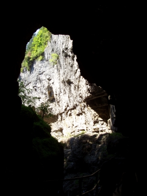 Blick aus der H�hle